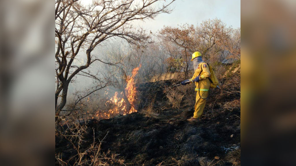 Luchan por siete horas para controlar incendio en cerro del Cubilete