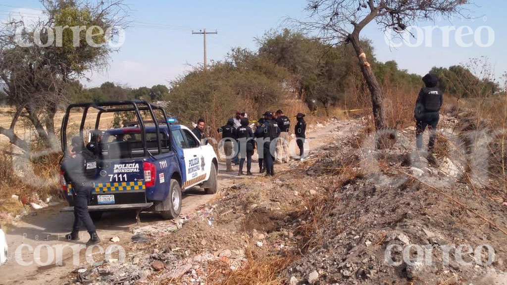 Hallan cadáver con huellas de violencia en camino de Celaya