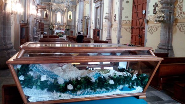 Sufrió la Iglesia varias bajas durante el 2020