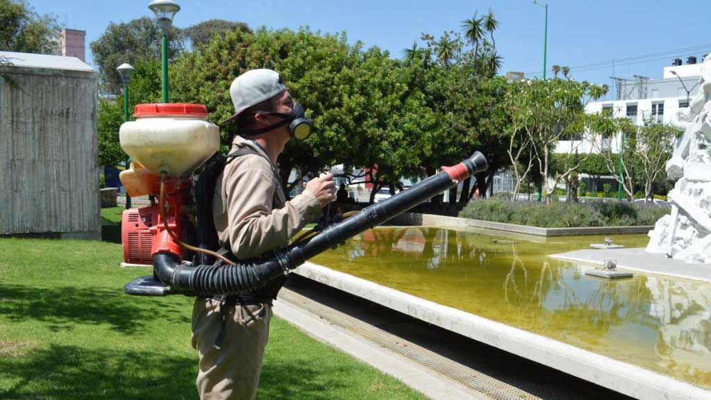 En Guanajuato 323 personas han sido picadas por el mosquito transmisor del dengue