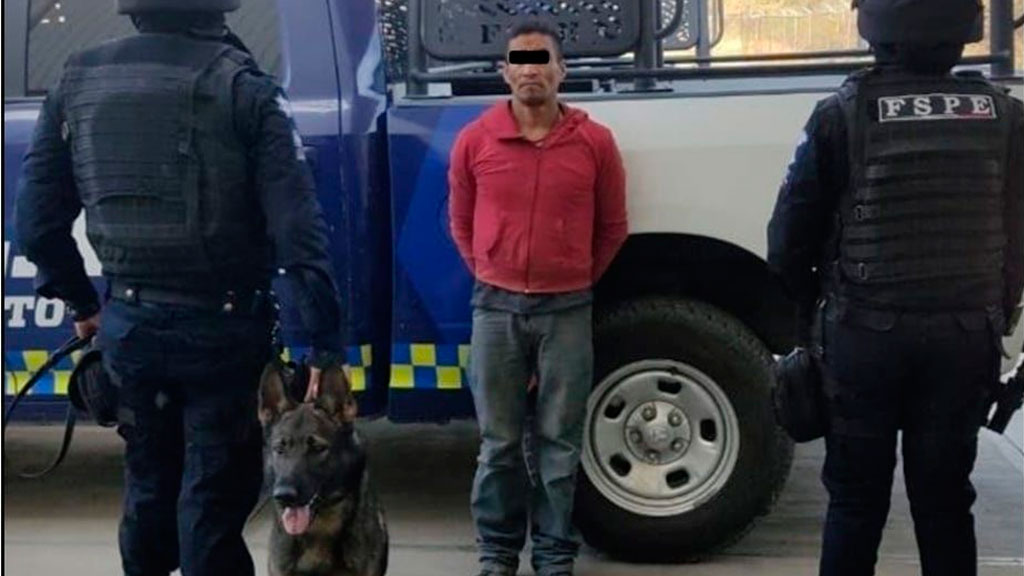 Traía 1200 dosis de droga cuando un perro lo olió y lo delató