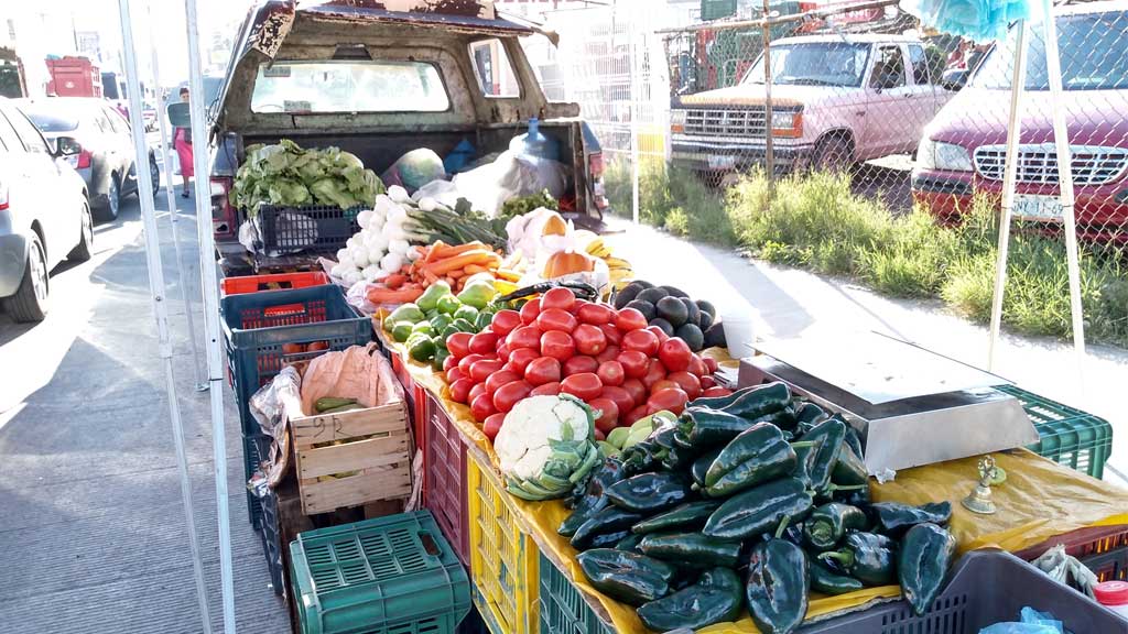 Reducción de la actividad económica provoca pérdidas económicas a agricultores