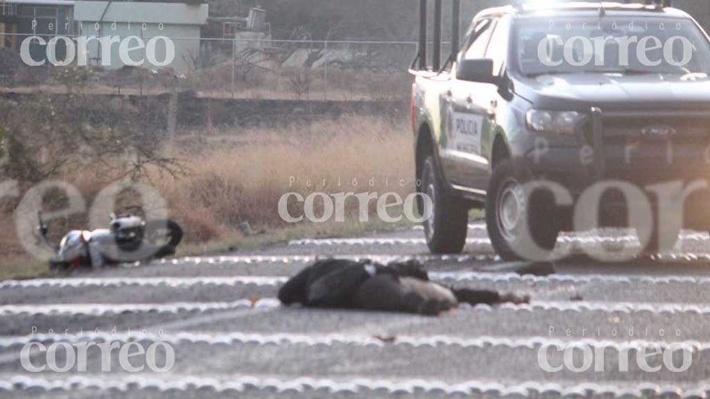 Muere motociclista atropellada por un tráiler luego de haber chocado en la Salamanca-Celaya