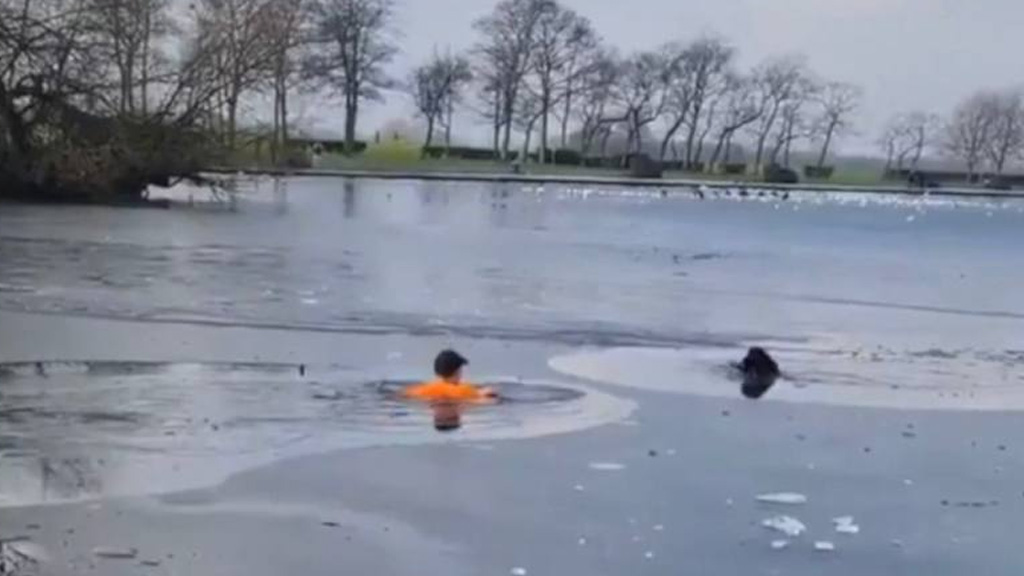 Deportista salva a perrito de ahogarse