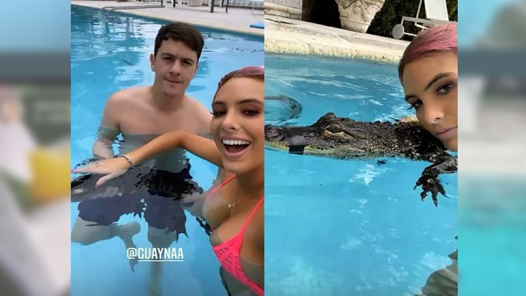 Acusan a Lele Pons y Guayna por maltrato animal