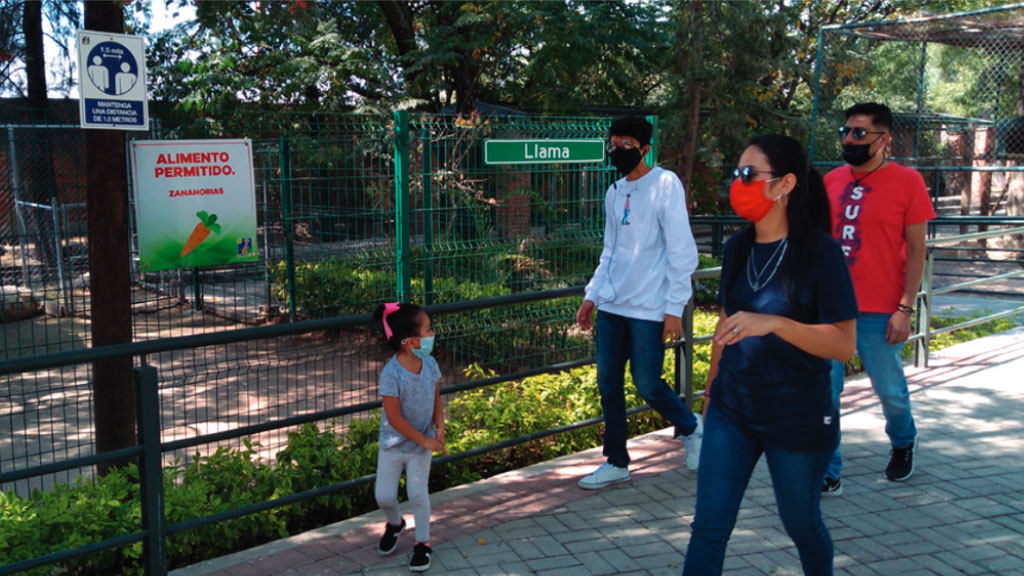 Deja pandemia números rojos en economía de Parque ZooIra