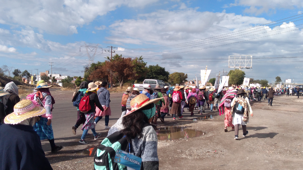 Peregrinos siguieron su camino a San Juan de los Lagos sin importar la pandemia