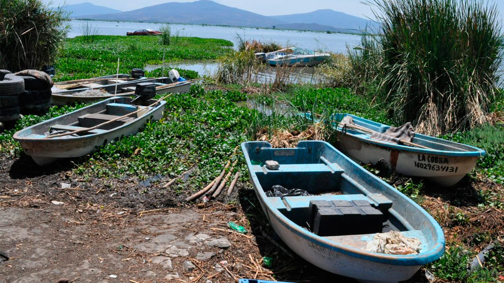 Arrasan ‘chinchorreros’ en laguna de Yuriria