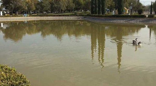 Limpiarán lago del Parque Xochipilli