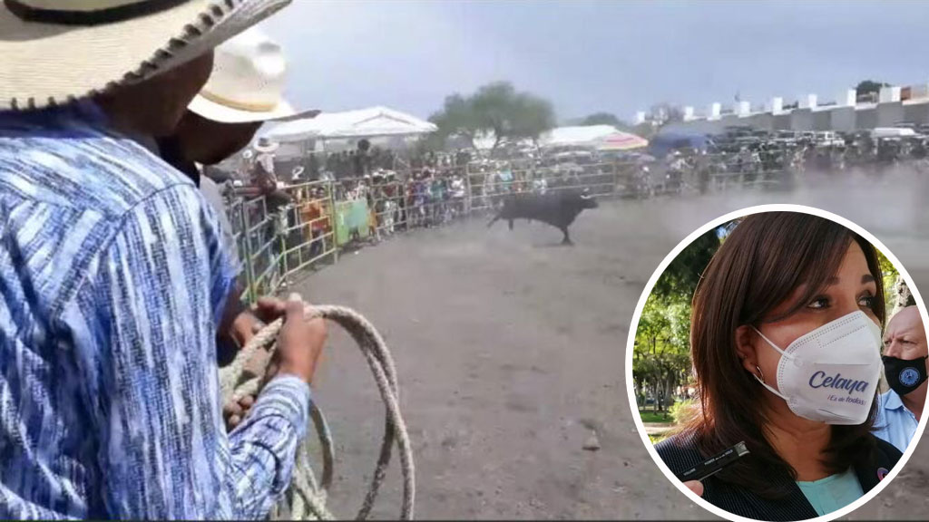 Alcaldesa llama a celayenses a no participar en jaripeos por Covid-19