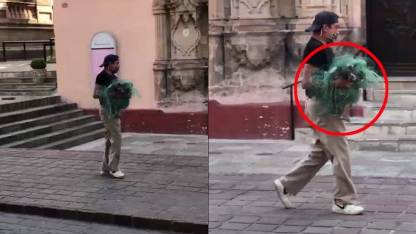 Video: Reaparece el misterioso ‘cazapalomas’ en el centro de Guanajuato