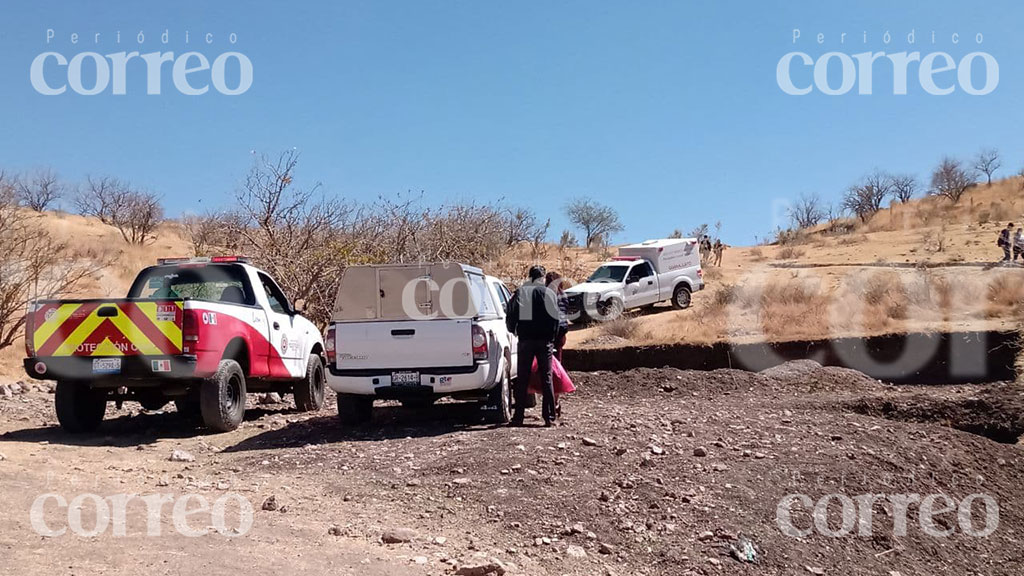 Perritos dan con muerto en fosa clandestina en zona cerril de León