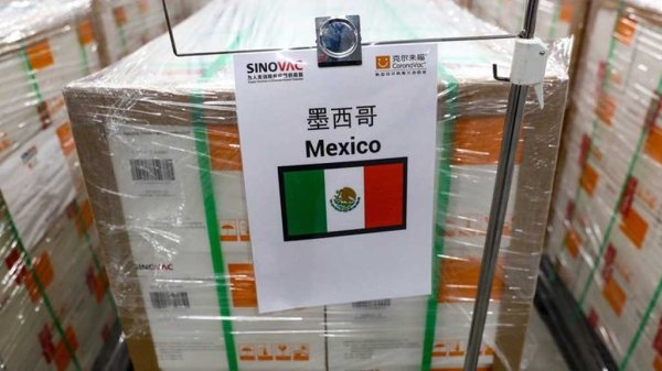 ¿Cuándo llegarán más vacunas Covid a México? Este es el calendario