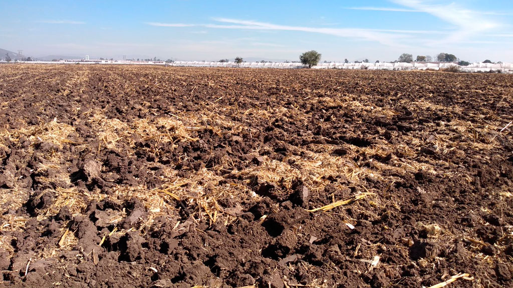 Se dificulta siembra de maíz por falta de agua en presas