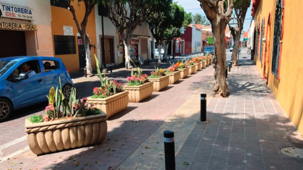 Discuten en Cabildo por macetas en calles