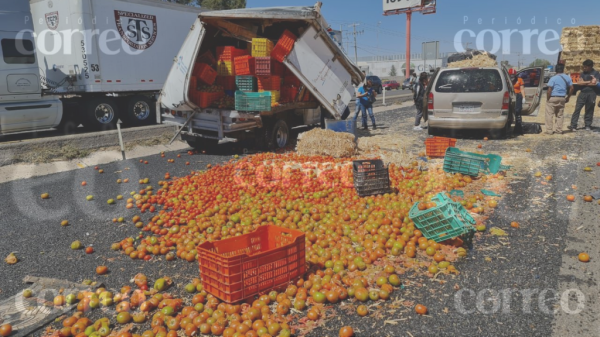 Tras accidente se desploman jitomates en la carretera Abasolo – Irapuato