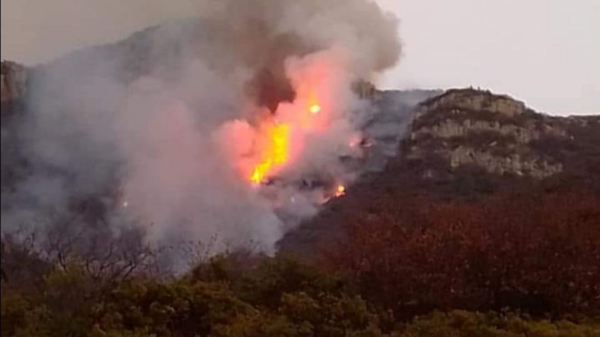 Arriban elementos de San Miguel para combatir incendio forestal en cerro del Águila