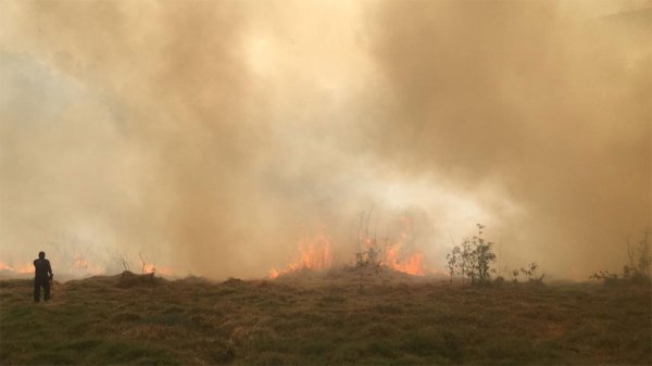 Se incendia el cráter La Alberca en Valle de Santiago