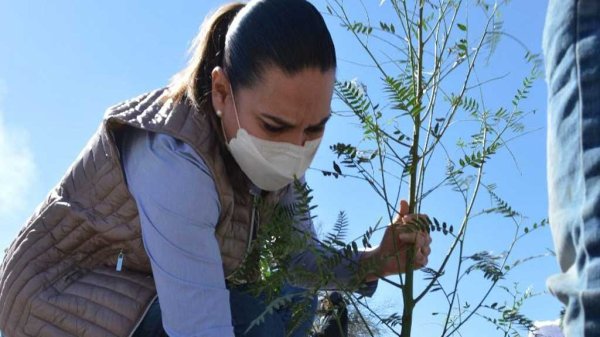 Lorena Alfaro busca apoyar iniciativas para el cuidado del medio ambiente