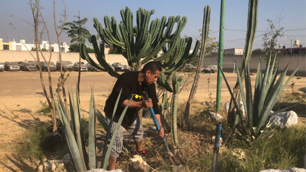 Silao: cambian multas por trabajo comunitario a favor del medio ambiente