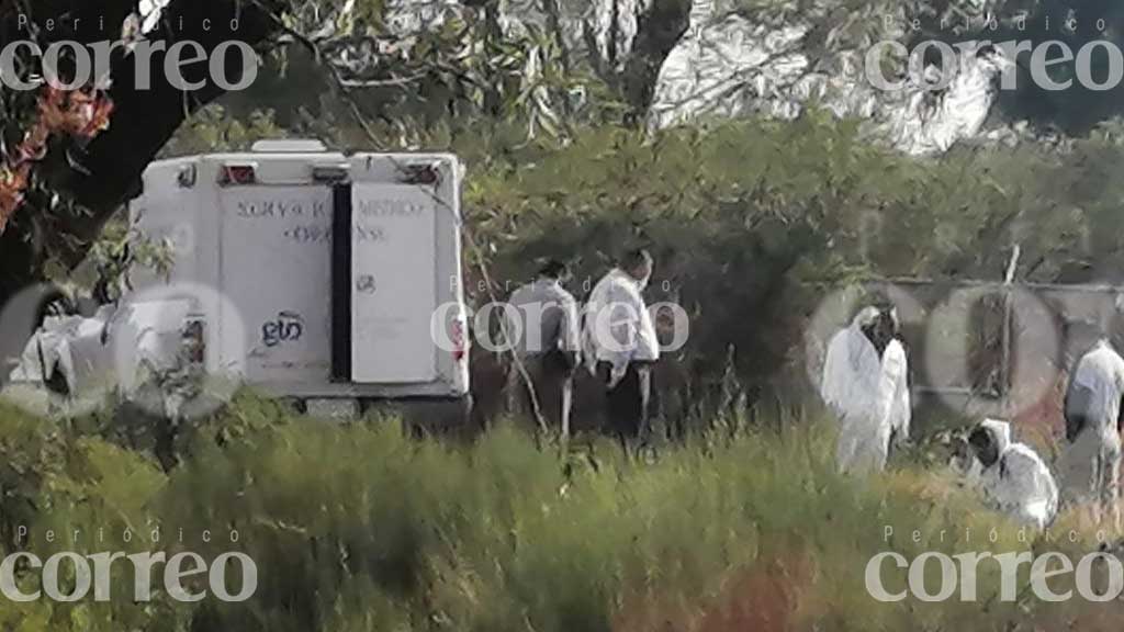 Localizan el cadáver de una mujer cerca de un terreno de cultivo en Jaral del Progreso