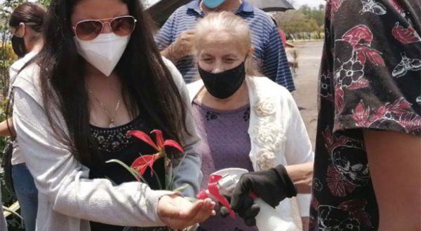 Limitan instalación de viveristas en la Feria del Árbol y de la Flor de Celaya