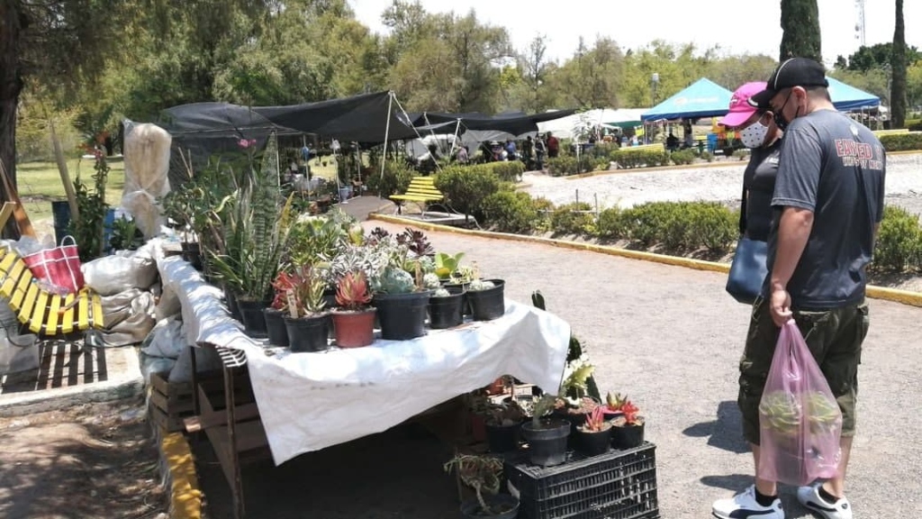 Sufren viveristas por excesivo cobro de renta en la Expo Feria de la Flor Celaya