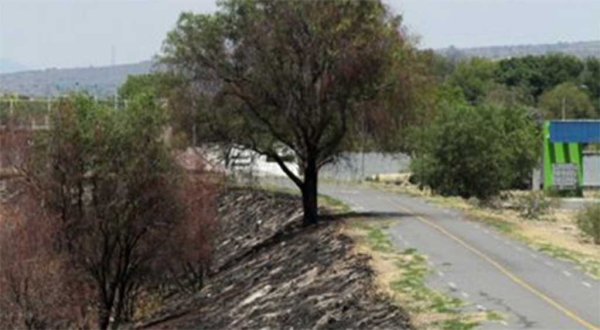 Inconforma a ciudadanos falta de áreas verdes en Celaya