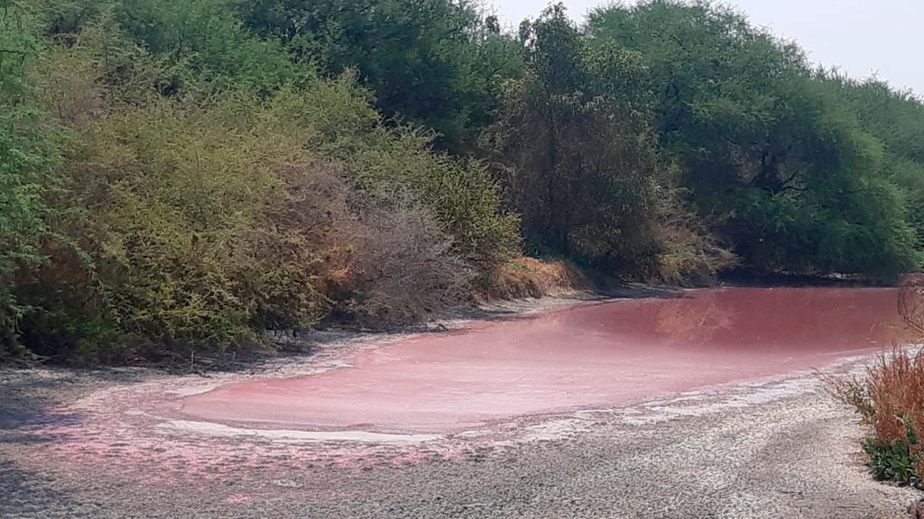 Alarma coloración de agua en presa de San Germán de León