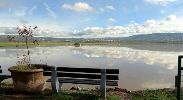 Parque Metropolitano en León ha tenido casi 100 mil visitantes