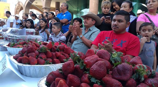 No habrá Feria… pero si realizarán el Festival de la Fresa en Irapuato