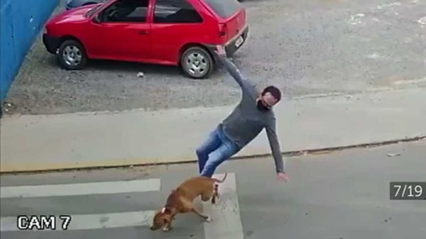 Video: Perro atropella a hombre a gran velocidad y lo deja lesionado