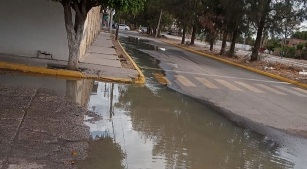 Brotes de aguas negras vuelven a las calles de la Colonia San José en Salamanca