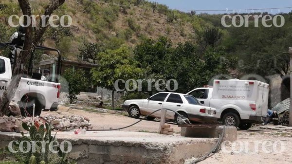 Dan con huesos humanos en comunidad de León gracias a perros guardianes