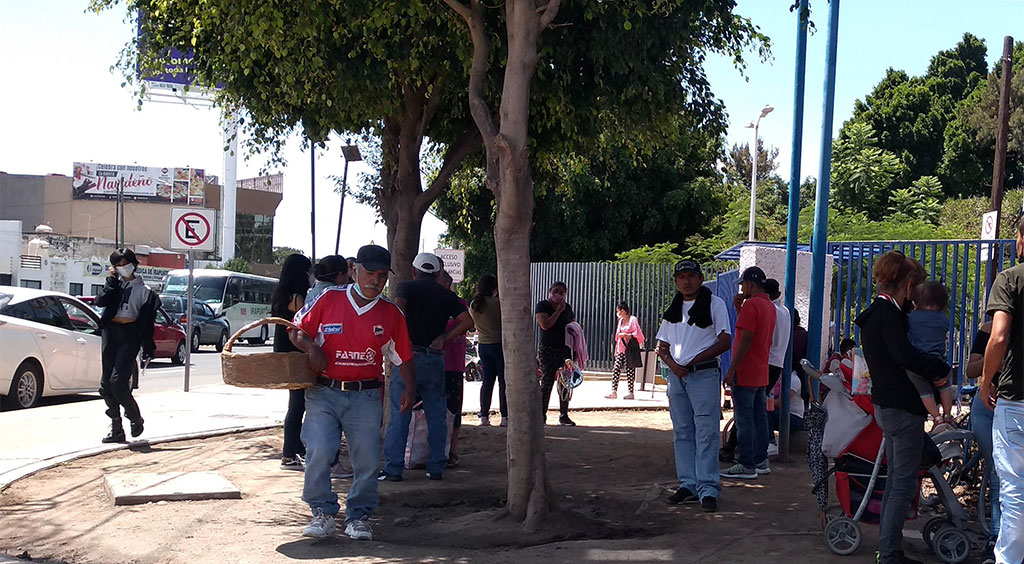 Usan jardinera como ‘sala de espera’ en el Hospital General de Irapuato