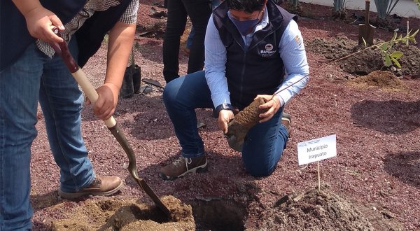 Arranca campaña de reforestación en el módulo de riego 011 de Irapuato