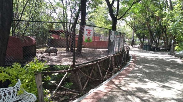 Zoológico de Irapuato busca recursos de 9 mdp para su rehabilitación