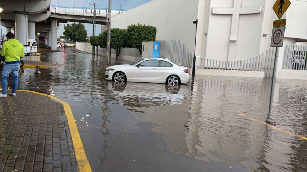 Intensa lluvia en Irapuato deja autos varados y un árbol caído a su paso