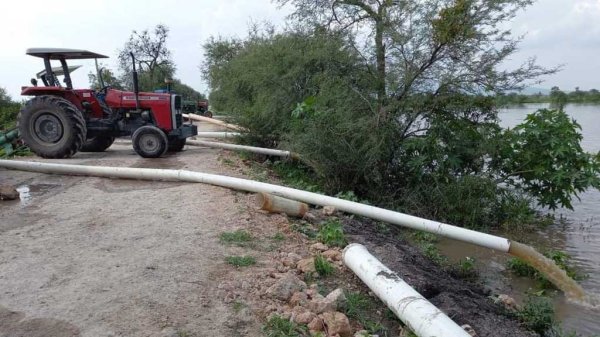 Trabajan para evitar desborde del arroyo Santo Domingo en límites de Cuerámaro