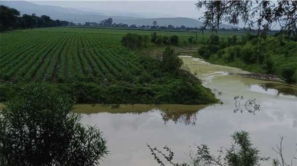 Río El Turbio inunda al menos 100 hectáreas; trabajan para reforzarlo