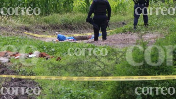 Abandonan cadáver envuelto en lonas en Pénjamo