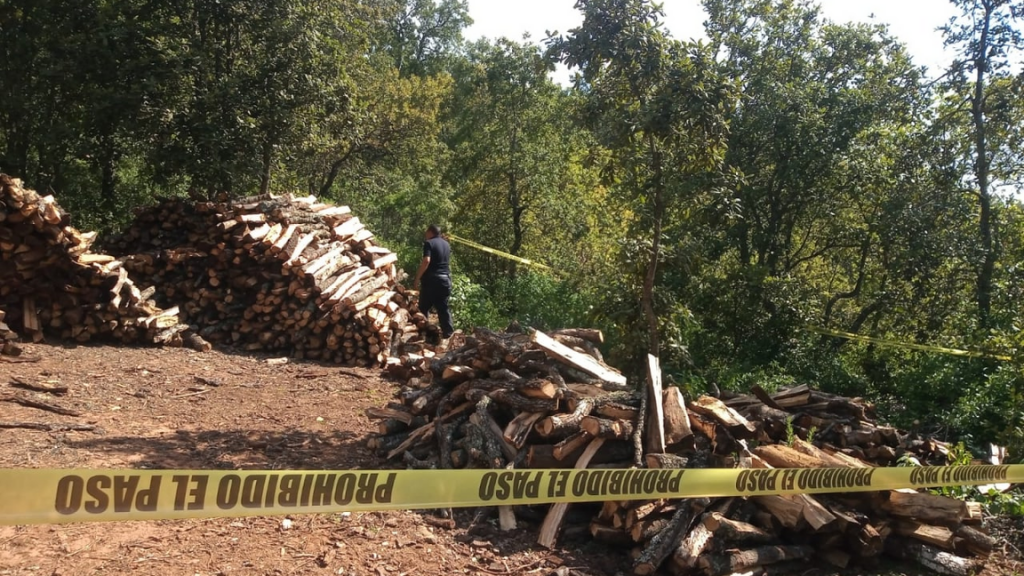 Detienen a dos presuntos talamontes  en  la Sierra de Santa Rosa