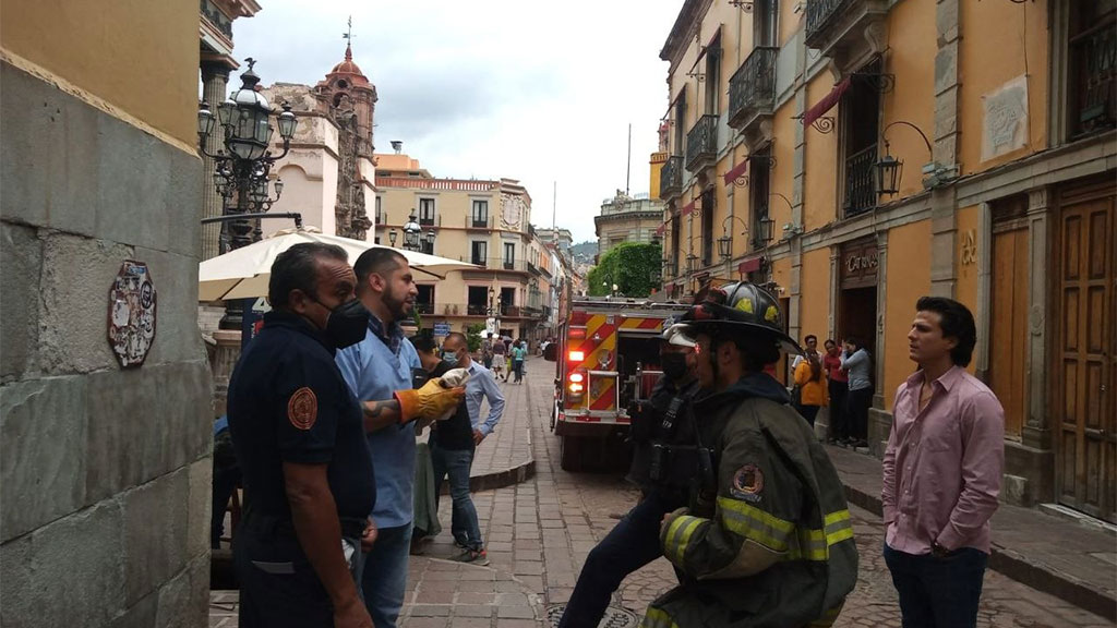 Rescatan a halcón atrapado en Guanajuato capital