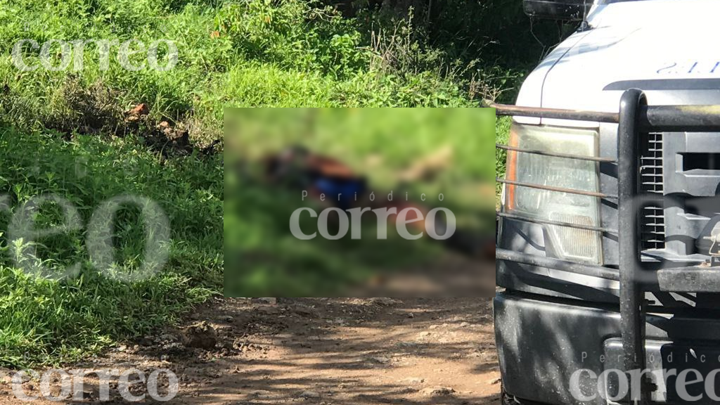 Hallan cadáver calcinado y devorado de las piernas en Abasolo