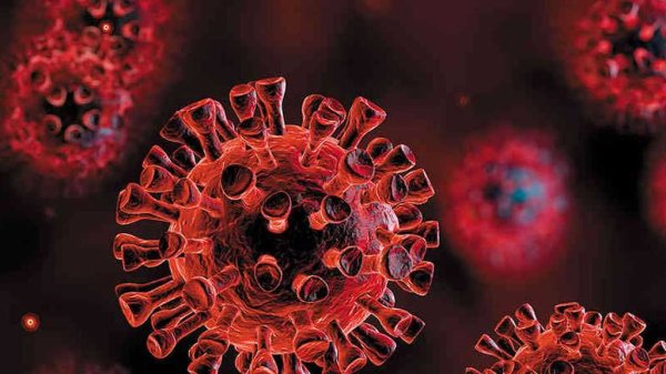 OMS reitera a China que el mundo necesita entender el origen del coronavirus