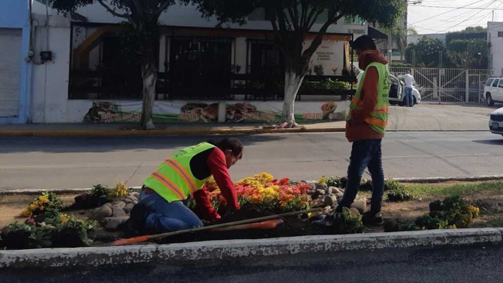 Redirigirán 6 mdp para empleo temporal en León; eran para despensas