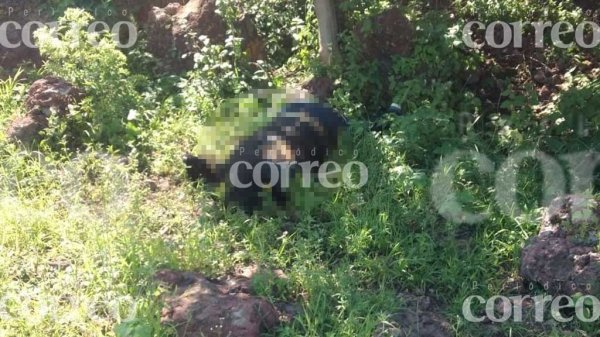 Localizan cuerpo en descomposición camino a Los Magueyes, en Valle de Santiago