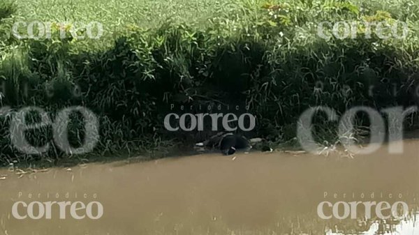 Localizan cadáver flotando en el interior del canal de Coria en Villagrán