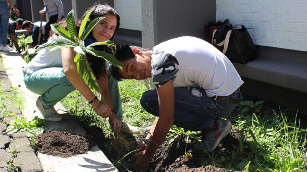 Proponen que plantar un árbol sea requisito para titularse en Guanajuato