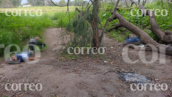 Abandonan los cuerpos de tres jóvenes detrás de una deportiva en San Francisco del Rincón